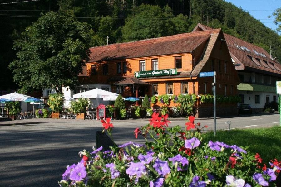 Gruener Hof Hotel Zell am Harmersbach Exterior photo